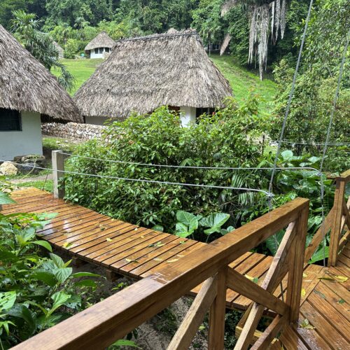 Resort Jungle view