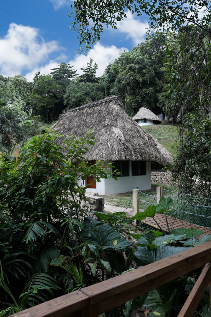 Jungle view cabana